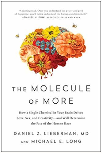 okumak The Molecule of More : How a Single Chemical in Your Brain Drives Love, Sex, and Creativity-and Will Determine the Fate of the Human Race