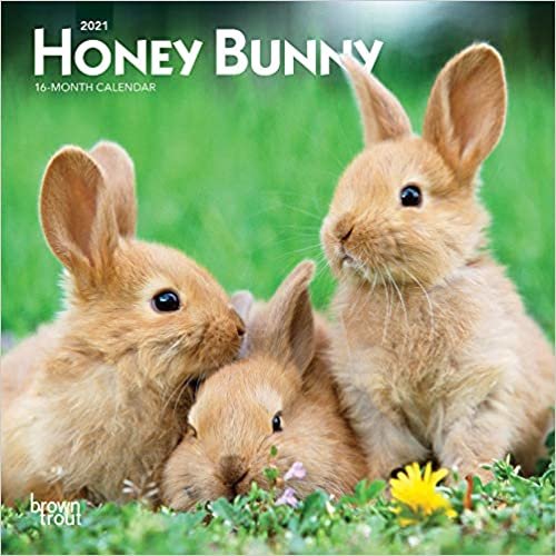 okumak Honey Bunny 2021 Calendar