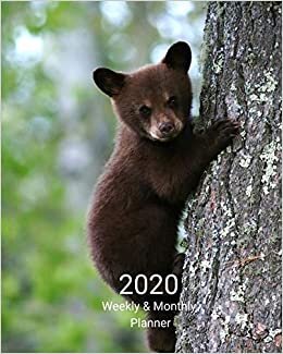 okumak 2020 Weekly and Monthly Planner: Bear Cub in Tree - Monthly Calendar with U.S./UK/ Canadian/Christian/Jewish/Muslim Holidays– Calendar in Review/Notes 8 x 10 in.- Brown Black Bear Animals Nature