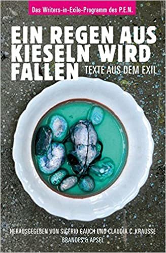 okumak Ein Regen aus Kieseln wird fallen: Texte aus dem Exil. Das Writers-in-Exile-Programm des P.E.N.