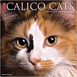 okumak Calico Cats 2021 Calendar