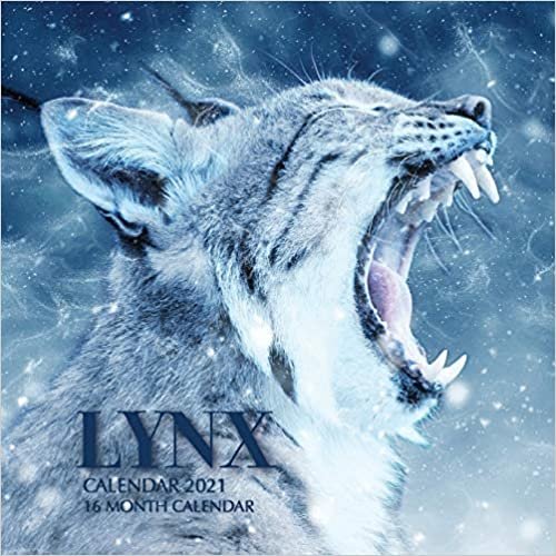 okumak Lynx Calendar 2021: 16 Month Calendar