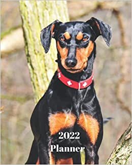 okumak 2022 Planner: German Pinscher Dog -12 Month Planner January 2022 to December 2022 Monthly Calendar with U.S./UK/ Canadian/Christian/Jewish/Muslim ... in Review/Notes 8 x 10 in.- Dog Breed Pets