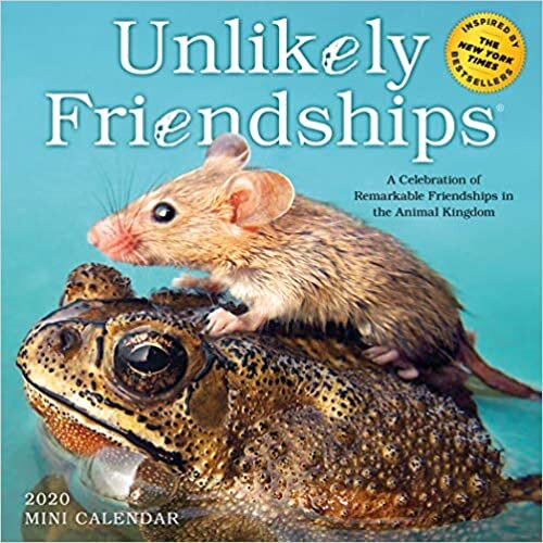okumak Unlikely Friendships Mini Calendar 2020