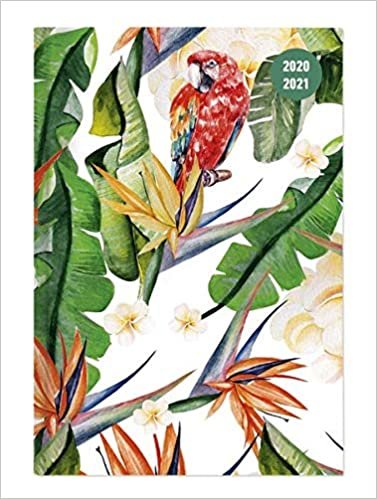 okumak Collegetimer Tropical Dream 2020/2021 - Schüler-Kalender A5 (15x21 cm) - Day By Day - 352 Seiten - Terminplaner - Notizbuch - Alpha Edition (Collegetimer A5 Daily)