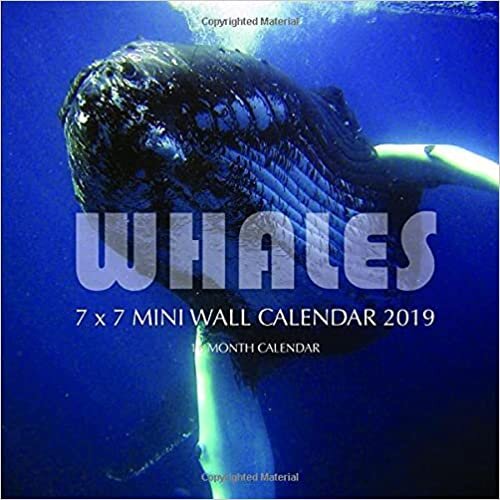 okumak Whales 7 x 7 Mini Wall Calendar 2019: 16 Month Calendar