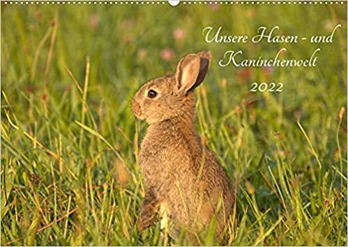 okumak Unsere Hasen - und Kaninchenwelt (Wandkalender 2022 DIN A2 quer): Beobachten Sie doch mit mir die heimische Tierwelt, z. B. die flinken Feldhasen und ... 14 Seiten ) (CALVENDO Tiere)