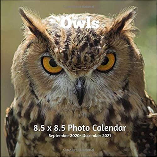 okumak Owls 8.5 X 8.5 Calendar September 2020 -December 2021: Monthly Calendar with U.S./UK/ Canadian/Christian/Jewish/Muslim Holidays-Birds Animal Nature