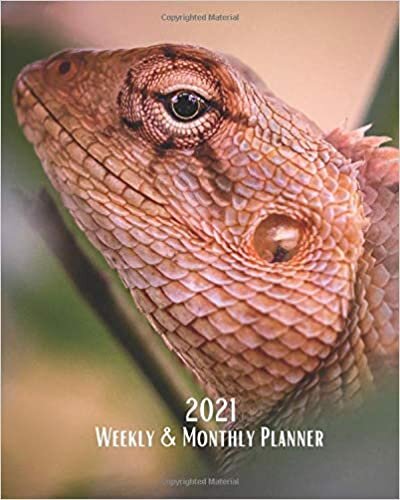 okumak 2021 Weekly and Monthly Planner: Iguana - Monthly Calendar with U.S./UK/ Canadian/Christian/Jewish/Muslim Holidays– Calendar in Review/Notes 8 x 10 ... Lizards Reptiles For Work Business School