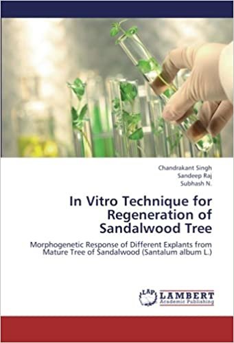 okumak In Vitro Technique for Regeneration of Sandalwood Tree: Morphogenetic Response of Different Explants from Mature Tree of Sandalwood (Santalum album L.)
