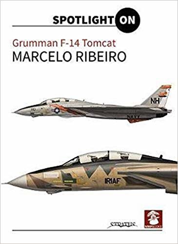 okumak Grumman F-14 Tomcat