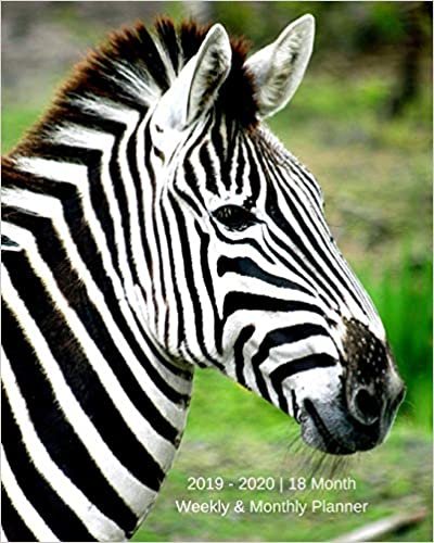 okumak 2019 - 2020 | 18 Month Weekly &amp; Monthly Planner: July 2019 to December 2020 | Calendar in Review/Monthly Calendar with U.S./UK/ ... 8 x 10 in.-Zebra Animal Safari Vol 9