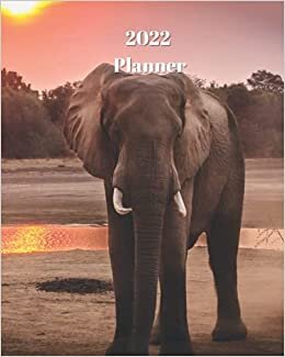 okumak 2022 Planner: Elephant During Sunset - Monthly Calendar with U.S./UK/ Canadian/Christian/Jewish/Muslim Holidays– Calendar in Review/Notes 8 x 10 in.- Animal Nature Wildlife