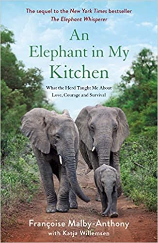 okumak An Elephant in My Kitchen: What the Herd Taught Me about Love, Courage and Survival (Elephant Whisperer, Band 2)