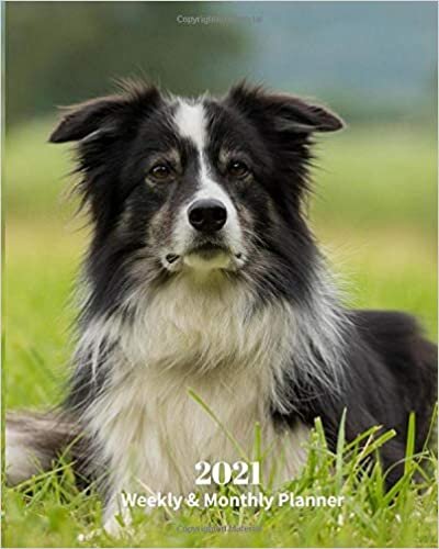 okumak 2021 Weekly and Monthly Planner: Border Collie Dog - Monthly Calendar with U.S./UK/ Canadian/Christian/Jewish/Muslim Holidays– Calendar in ... in.- Dog Breed Pets For Work Business School