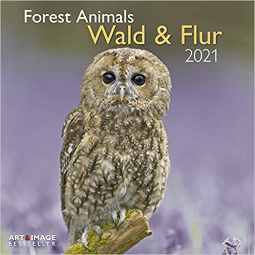 okumak Wald &amp; Flur 2021 - Wand-Kalender - Broschüren-Kalender - A&amp;I - 30x30 - 30x60 geöffnet: Forest Animals