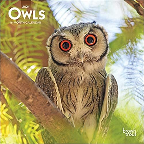 okumak Owls 2021 Calendar