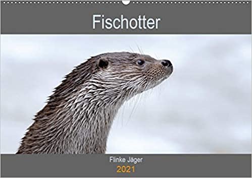 okumak Fischotter, flinke Jäger (Wandkalender 2021 DIN A2 quer): Fischotter sind flinke und wendige Jäger (Geburtstagskalender, 14 Seiten )