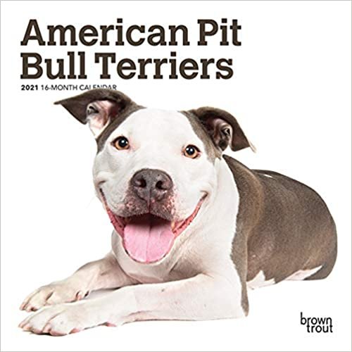 okumak American Pit Bull Terriers 2021 Calendar