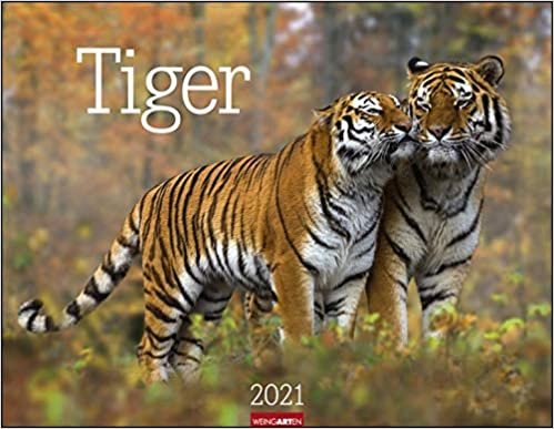 okumak Tiger - Kalender 2021