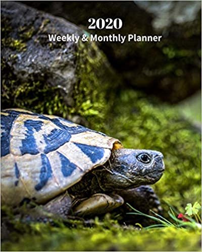 okumak 2020 Weekly and Monthly Planner: Turtle - Monthly Calendar with U.S./UK/ Canadian/Christian/Jewish/Muslim Holidays– Calendar in Review/Notes 8 x 10 in.-Wildlife Animal Turtle