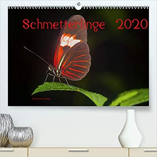okumak Schmetterlinge 2020CH-Version(Premium, hochwertiger DIN A2 Wandkalender 2020, Kunstdruck in Hochglanz): Schmetterlinge, die filigranen Flieger in faszinierenden Aufnahmen (Monatskalender, 14 Seiten )