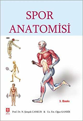 okumak Spor Anatomisi
