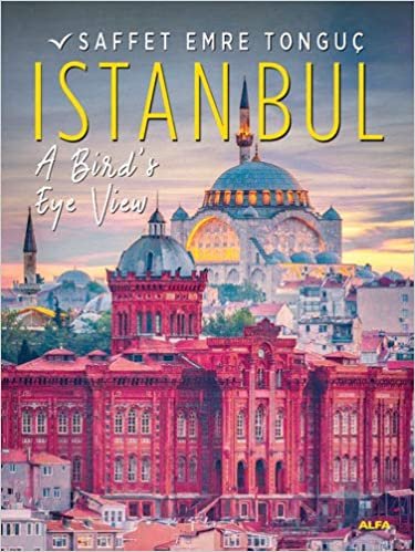 okumak Istanbul A Bird’s Eye View (Hardcover)