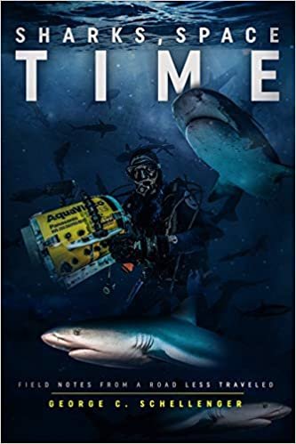 okumak Sharks, Space, Time: Field Notes from a Road Less Traveled