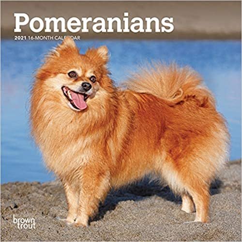 okumak Pomeranians 2021 Calendar