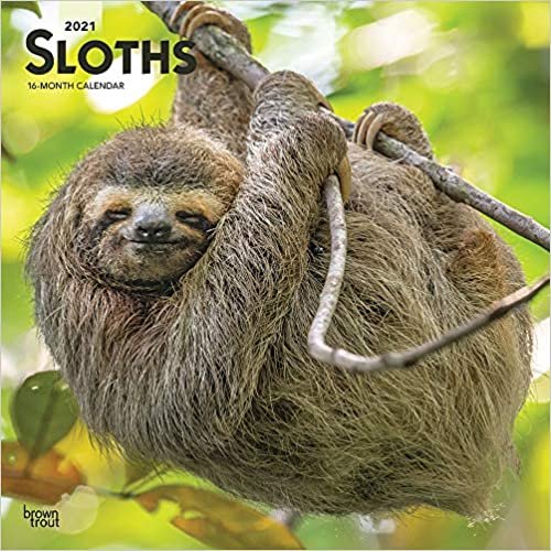 okumak Sloths - Faultiere 2021- 16-Monatskalender: Original BrownTrout-Kalender [Mehrsprachig] [Kalender] (Wall-Kalender)