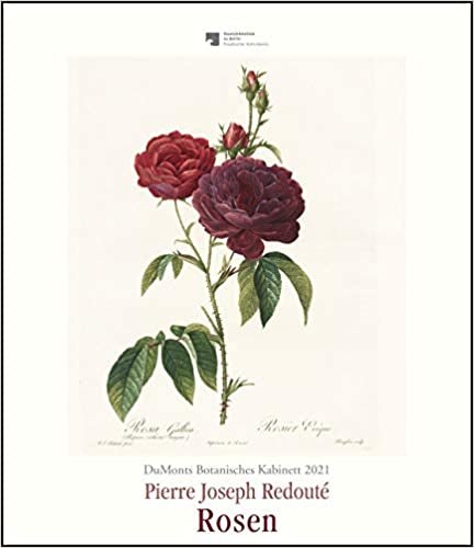 okumak DuMonts Botanisches Kabinett – Rosen von P.J. Redouté – Kunstkalender 2021 – Wandkalender im Hochformat 34,5 x 40 cm