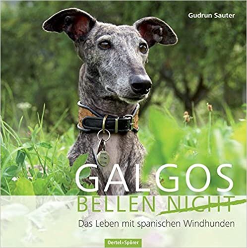 okumak Galgos bellen nicht: Das Leben mit den spanischen Windhunden