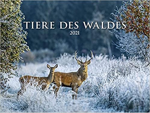 okumak Tiere des Waldes 2021 - Bild-Kalender quer 56x42 cm - Tierkalender - Wald - Wand-Kalender - Alpha Edition