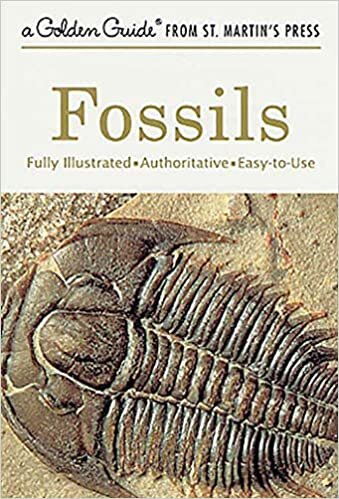 okumak FOSSILS UPDATED/E: A Fully Illustrated, Authoritative and Easy-To-Use Guide (Golden Field Guide Series)