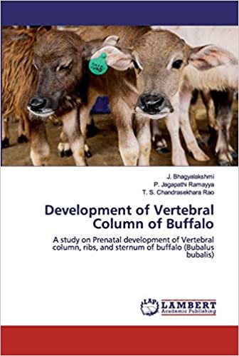 okumak Development of Vertebral Column of Buffalo: A study on Prenatal development of Vertebral column, ribs, and sternum of buffalo (Bubalus bubalis)
