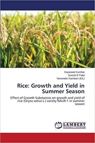 okumak Rice: Growth and Yield in Summer Season