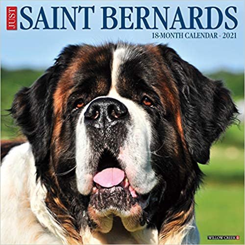 okumak Just Saint Bernards 2021 Calendar