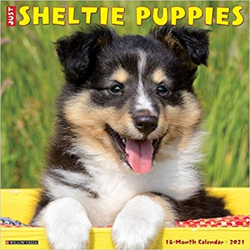 okumak Sheltie Puppies 2021 Calendar