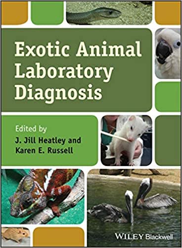 okumak Exotic Animal Laboratory Diagnosis