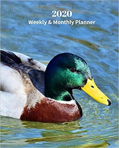 okumak 2020 Weekly and Monthly Planner: Mallard Duck - Monthly Calendar with U.S./UK/ Canadian/Christian/Jewish/Muslim Holidays– Calendar in Review/Notes 8 x 10 in.-Wildlife Birds Nature