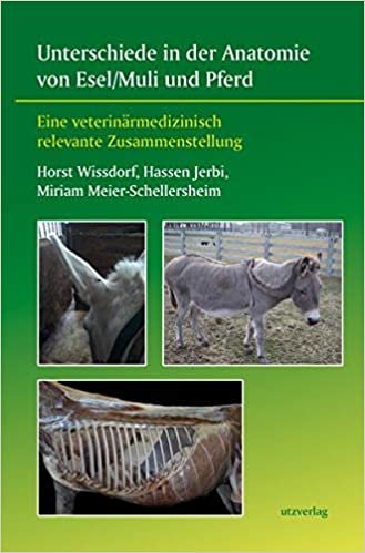 okumak Unterschiede in der Anatomie von Esel/Muli und Pferd: Eine veterinärmedizinisch relevante Zusammenstellung (Fachbuch)
