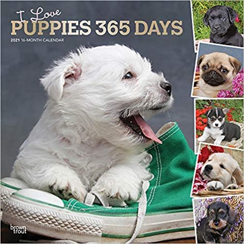 okumak I Love Puppies 365 Days 2021 Calendar: Foil Stamped Cover