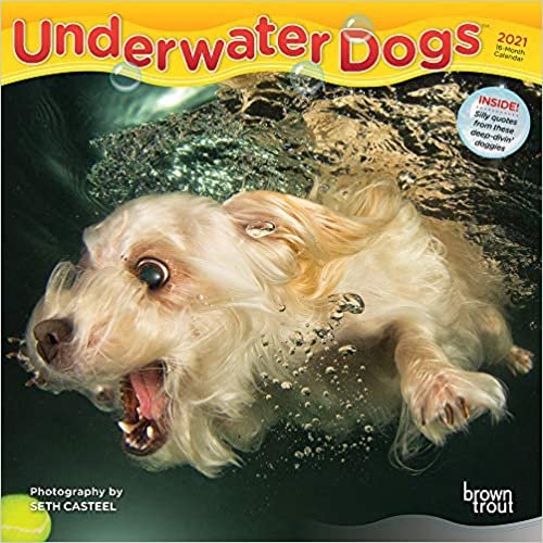 okumak Underwater Dogs 2021 Calendar