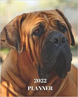 okumak 2022 Planner: Boerboel Dog -12 Month Planner January 2022 to December 2022 Monthly Calendar with U.S./UK/ Canadian/Christian/Jewish/Muslim Holidays– Calendar in Review/Notes 8 x 10 in.- Dog Breed Pets