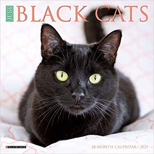 okumak Black Cats 2021 Calendar