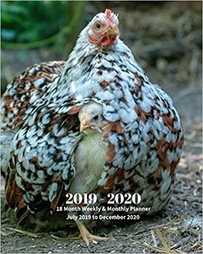 okumak 2019 - 2020 | 18 Month Weekly &amp; Monthly Planner July 2019 to December 2020: Chicken and Chick Farm Animal Vol 2 Monthly Calendar with U.S./UK/ ... Holidays– Calendar in Review/Notes 8 x 10 in.