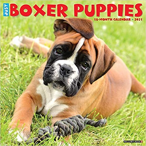 okumak Just Boxer Puppies 2021 Calendar