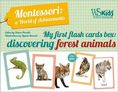 okumak Piroddi, C: My First Flash Cards Box: Discovering Forest Ani (Montessori World of Achievements)