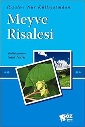 okumak Meyve Risalesi (Mini Boy): Risale-i Nur Külliyatından